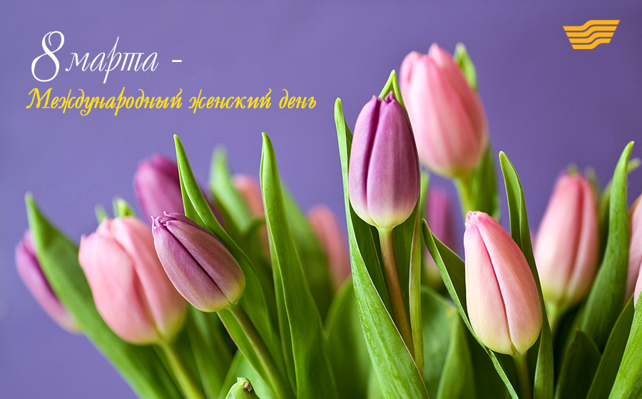 Концертная программа 